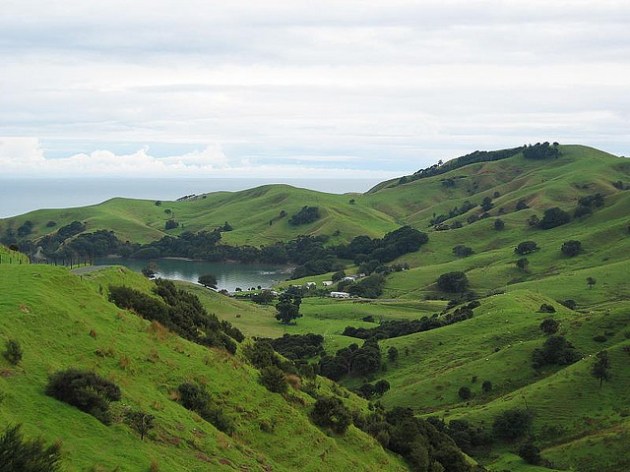 Coromandel Peninsula, New Zealand