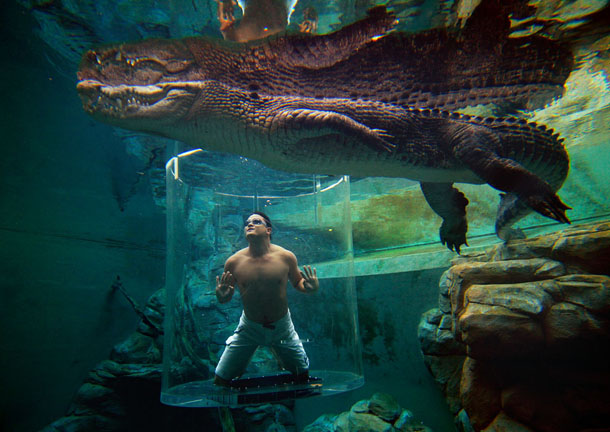 Cage of Death, Crocosaurus Cove, Australia