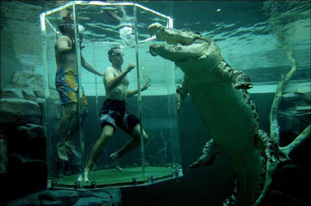 Cage of Death, Crocosaurus Cove, Australia