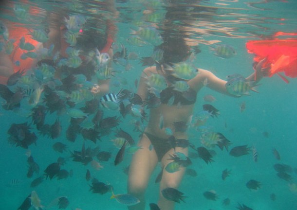 Swimming with fishes