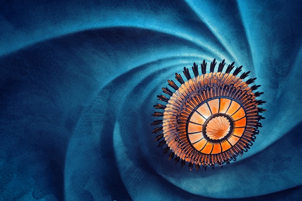 Casa Batllo Gaudi Swirl