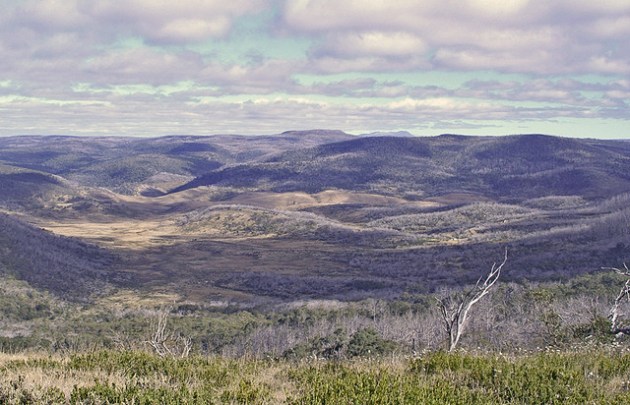 Rocky Plain Tabletop Jagungal