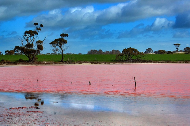 Lake Hillier