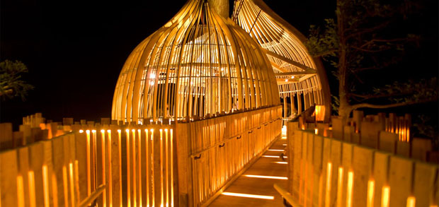 The Redwoods Treehouse