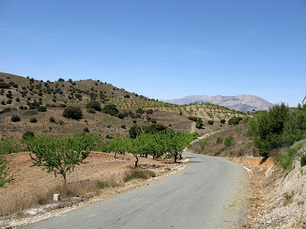 Andalusian countryside road