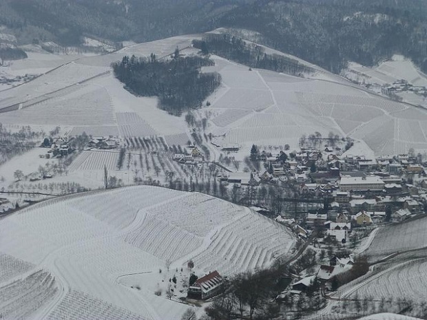Black Forest in Winter