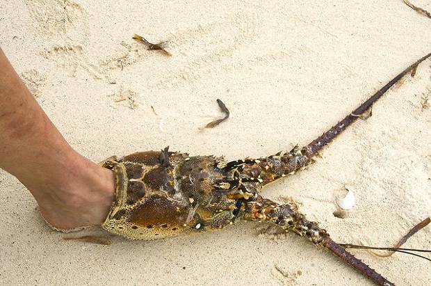 Cuban Cayos Unique Sandal