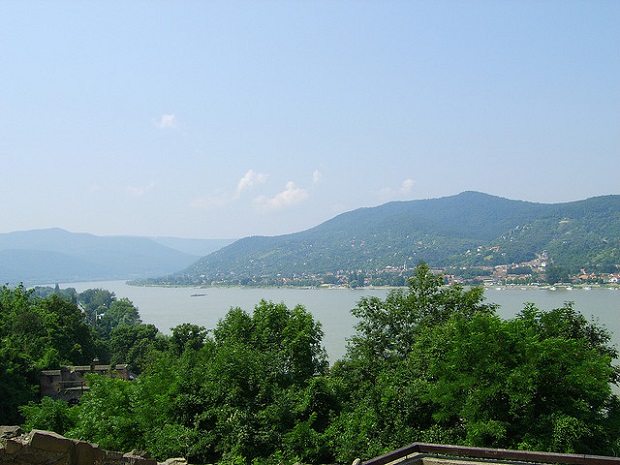 Danube Bend Trees and Hills