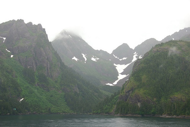 Misty Kenai Fjords