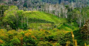 Costa Rica Beautiful Landscape