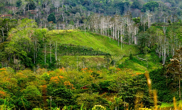 Costa Rica Beautiful Landscape
