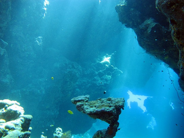 Red Sea Paradise Reef