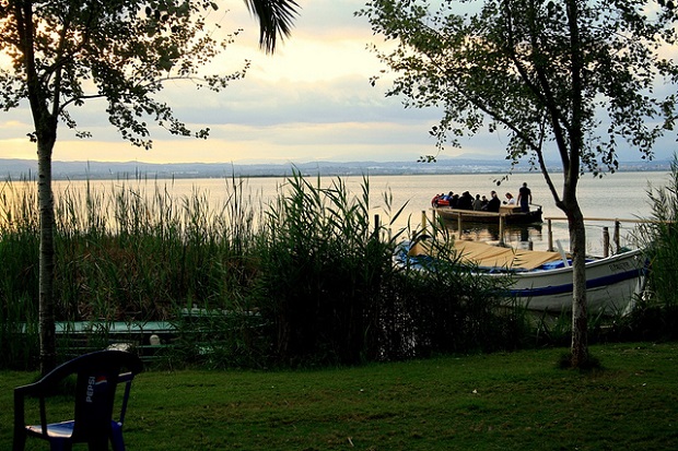Albufera Natural Park boat tours