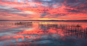 Albufera Natural Park Glorious sunset