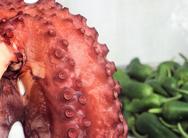 Octopus and peppers Bierzo
